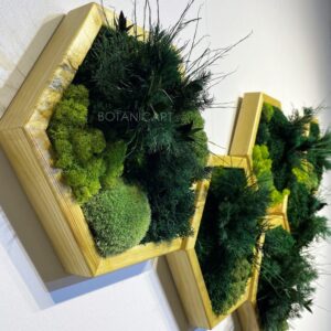 Moss Hexagon Wall Panels made with real moss No Maintenance Required Moss “Living” Wall ~ “little jungle” Wood Moss Wall Art