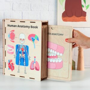 Wooden Book Anatomy for kids